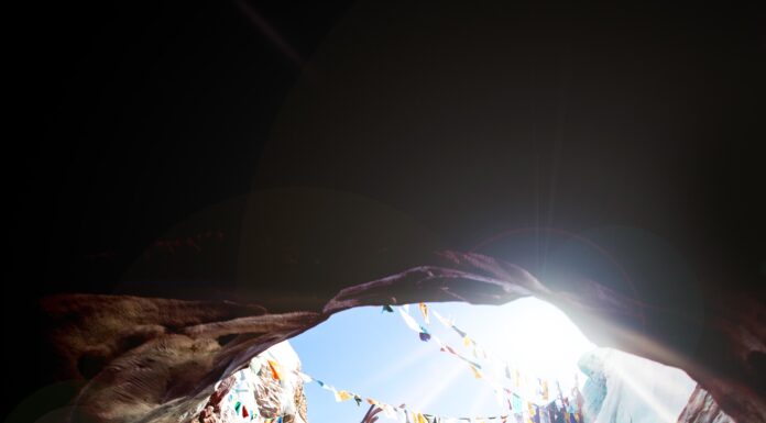 Met deze strikte maatregelen wil Disney World binnenkort zijn deuren openen disney world